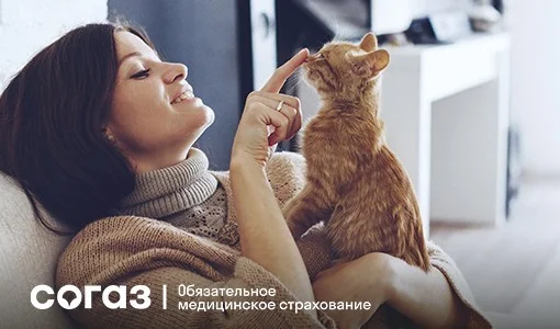 Профилактика вирусных гепатитов