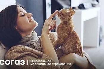 Профилактика вирусных гепатитов Профилактика вирусных гепатитов